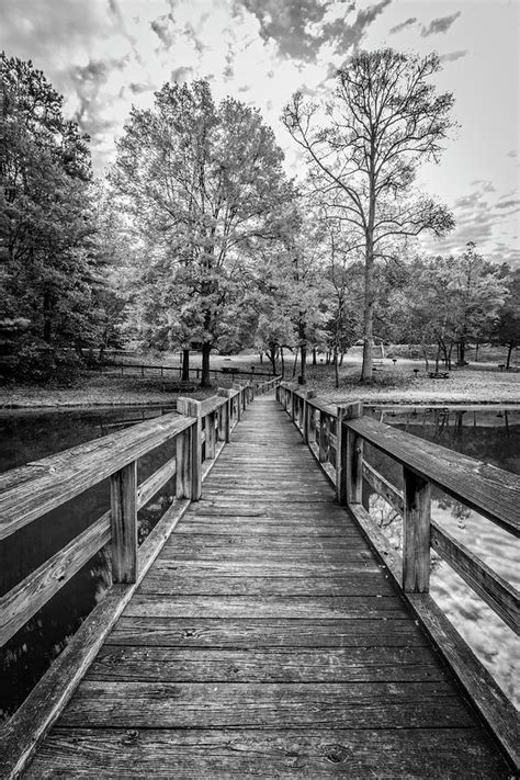 Long Wooden Fishing Dock In Autumn In Black And White Photograph By