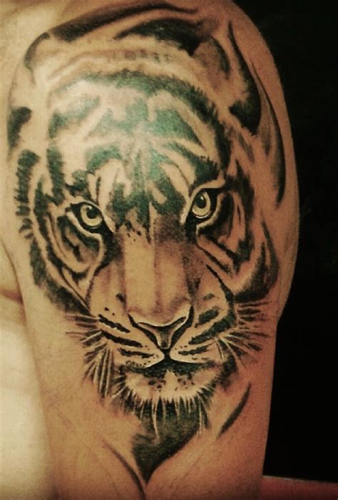 50,686 likes · 27,876 talking about this. Tattoo tigre - Imagui
