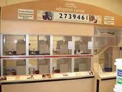 All bc spca cat/kitten/dog/puppy/rabbit adoptions include a microchip and lifetime registration with the bc pet registry. Mary's Kitty Korner Blog: PetSmart and Mary's Kitty Korner