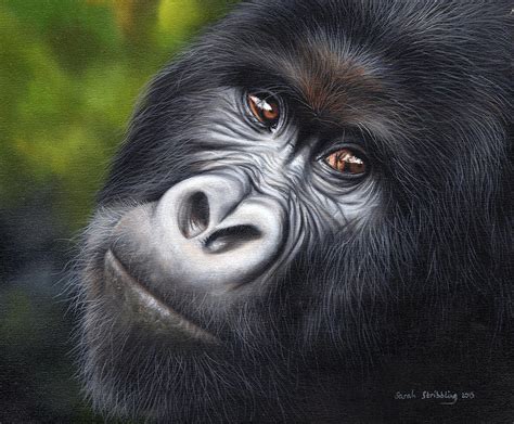 Gorilla Painting By Sarah Stribbling