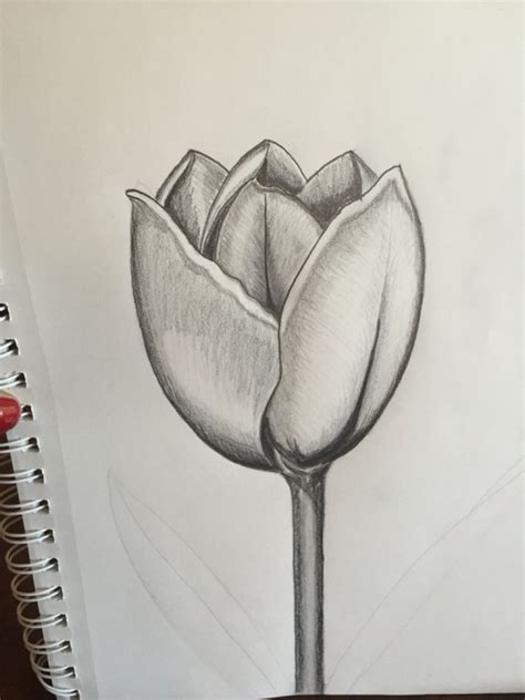 Most relevant best selling latest uploads. 35 Easy Pencil Drawings Of Flowers For Inspiration - Buzz Hippy