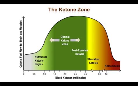 Sounds weird i know, but scientifically it works! Why go Low Carb - A great video presentation. | Diabetes ...