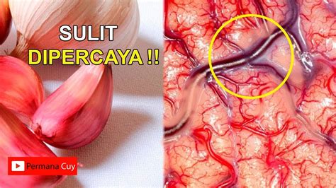 Untuk cara mendapatkan khodam pendamping maka kita harus membaca doa menurut islam dan kejawen agar keduanya seimbang. Setelah Makan Bawang Putih Saat Perut Kosong, Ini Yang ...