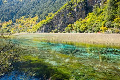 Jiuzhaigou National Park Stock Photo Image Of Blue Calcareous 85318168