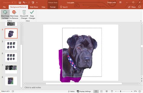 Make it amazing by edit your photo, add a background or just make an wow impact? How to Remove Picture Backgrounds in PowerPoint 2019 - dummies