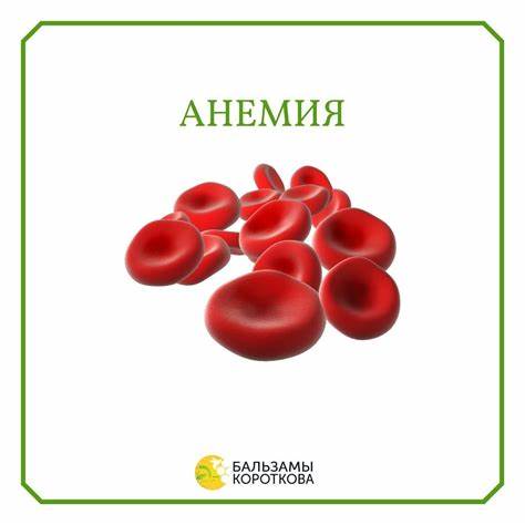 Анемия меню диета Анемия Анемия Анемия меню диета