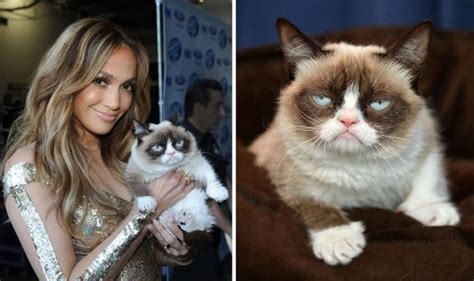 Grumpy Cat Dead Instagram Star Of Viral Memes Dies After Becoming