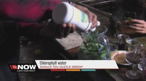 Chlorophyll Water Becoming Popular Youtube