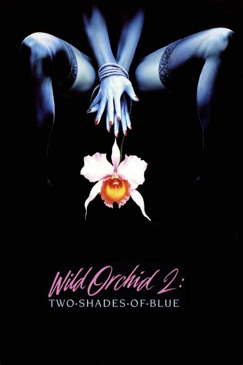 Wild Orchid Ii Two Shades Of Blue Streaming Sur Zone Telechargement Film 1991