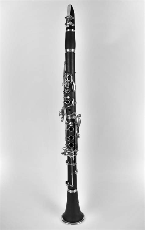 Free Images Music Black And White Artist Musical Instrument