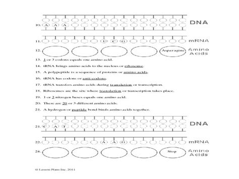 Dna fingerprinting and paternity answer key : Dna Fingerprinting In Forensics Worksheet Answer Key — Villardigital Library For Education
