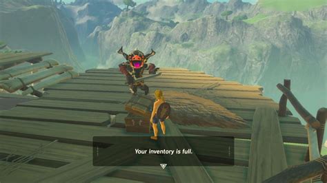 Was Sneaking Around A Bokoblin Base And Was Treates With This Wonderful