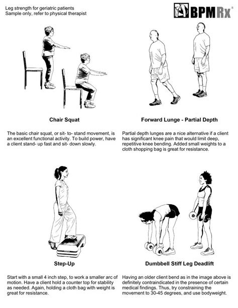 Printable Physical Therapy Exercise Sheets