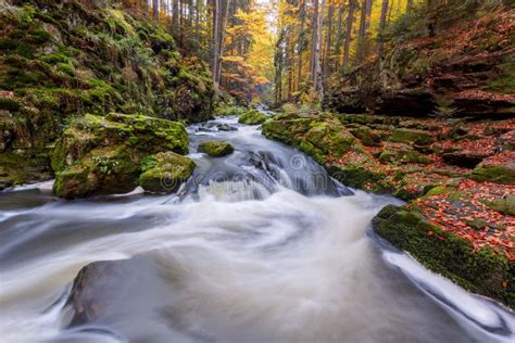 Autumn Fall Wild River Doubrava Picturesque Landscape Stock Photo