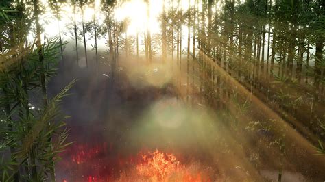 Wind Blowing On A Flaming Bamboo Trees During A Forest Fire 5907470