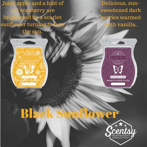 Scentsy Recipes Scentsy Scent Scentsy Independent Consultant Mixers