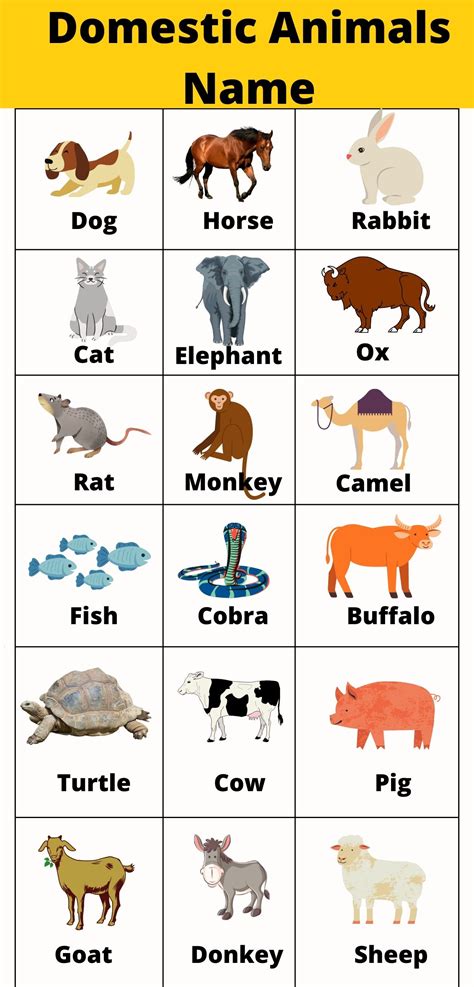 50 Domestic Animals Name In Hindi And English