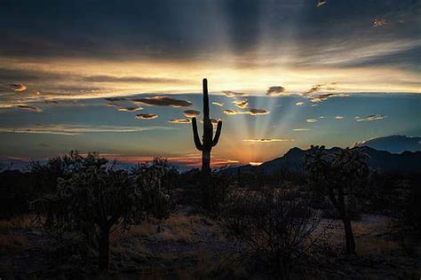 Saija Lehtonen Lighting Up The Desert Skies Landscape Photography