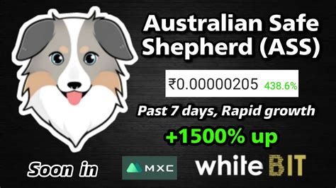 Australian Safe Shepherd Ass 🔥 Rapid Growth Token😱low Price So Don T Miss It💯 Ass Youtube