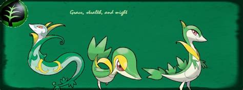 Snivy Servine And Serperior Cover Photo By Thatcharizardguy On Deviantart