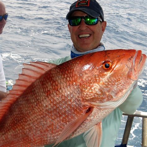 How To Catch More Red Snapper Like A Boss Video