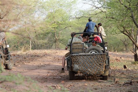 Safari Jeep In Zone 4 Of Ranthambore Park Editorial Stock Image Image Of Reserve Safari 68522074