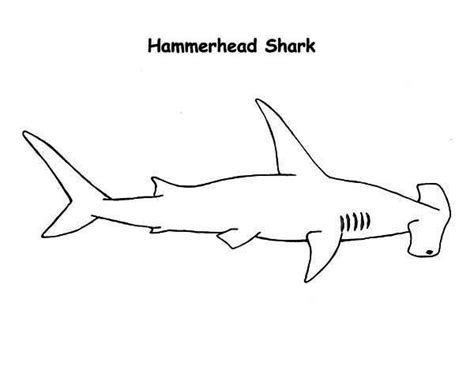 Check spelling or type a new query. Sharks, A Realistic Drawing of Hammerhead Shark Coloring ...
