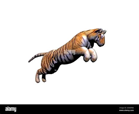 Large Graceful Striped Tiger Jumping Stock Photo Alamy