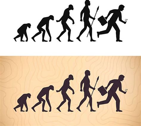 Royalty Free Human Evolution Clip Art Vector Images And Illustrations Istock