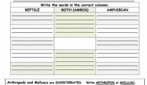 worksheet for the characteristics of retiles and amphreans