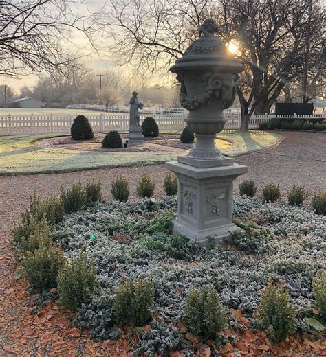 Grow a window box of medicinal herbs. We had a proper frost last night. | Garden, Instagram ...