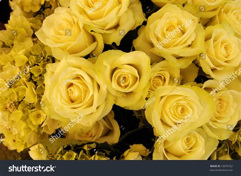 A Beautiful Flower Bouquet Of Yellow Roses Stock Photo