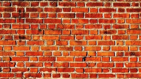 Download Bright And Colorful Brick Wall