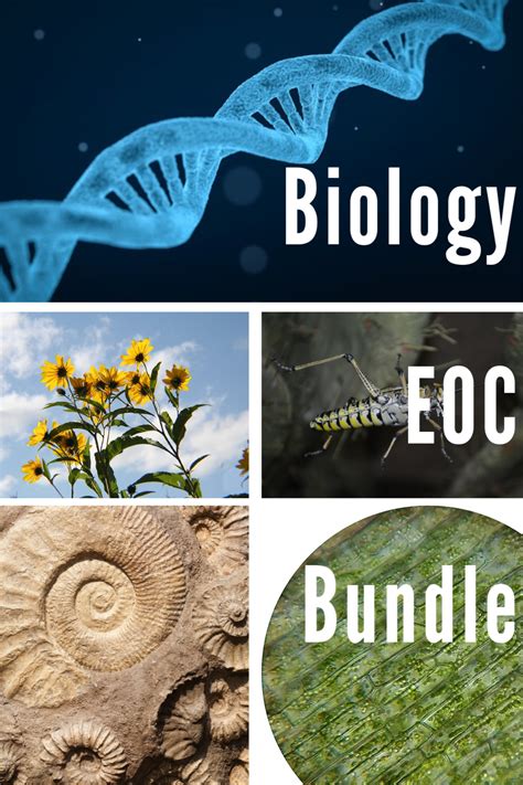 Biology folder quick review over selected topics Biology EOC Bundle | Biology review, Biology, Biology activity