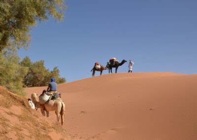 Notre Galerie Photos Espace Sahara