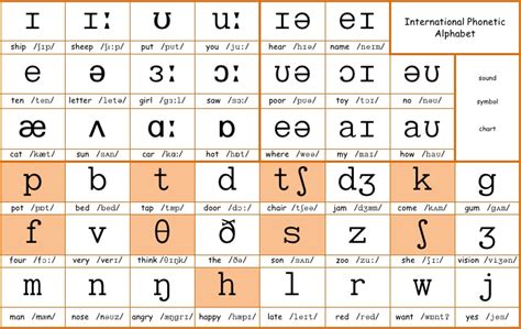 61 International Phonetic Alphabet Ipa 62 Voicedvoiceless