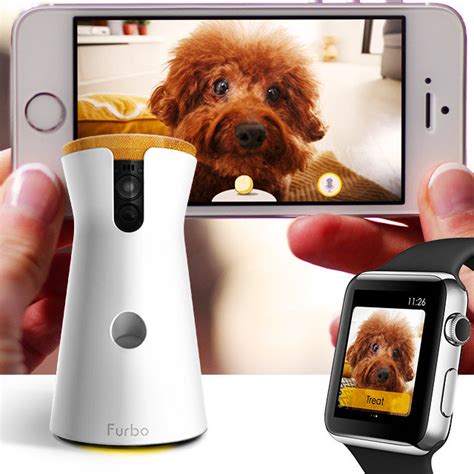 Contact The Furbo Worlds Best Treat Tossing Dog Camera Team On Backerkit