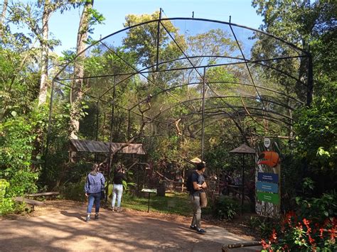 Tucan Walk Through Aviary Zoochat