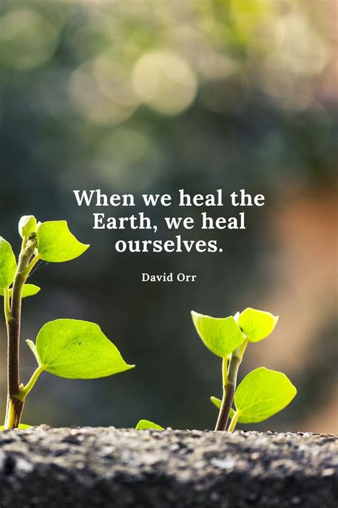 When We Heal The Earth We Heal Ourselves David Orr Earth Quotes