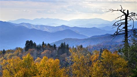 Download 300 Iphone Wallpaper Great Smoky Mountains Foto Terbaik