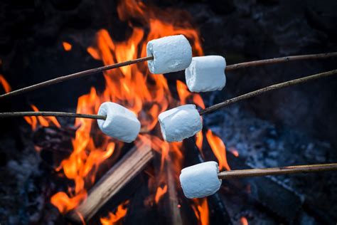 These delicious indoor s'mores are super easy to make inside (without a camfire) with a stove, sterno, or don't have a gas stove, sterno burner, or hibachi? Best Sticks To Roast Marshmallows Reviews (2018)