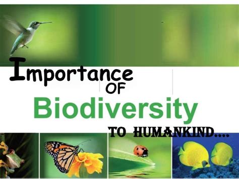Importance Of Biodiversity To Humankinds