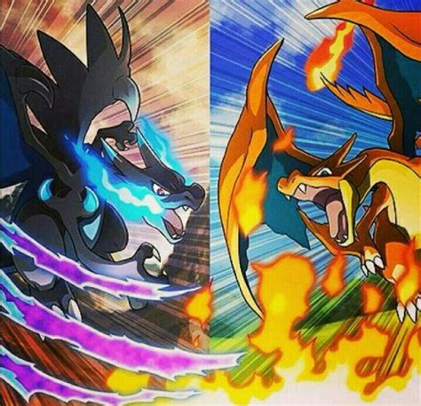 Charizard X Vs Charizard Y Pokémon Amino