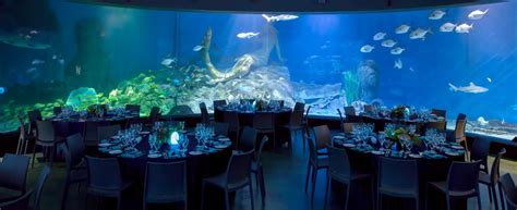 Sea Life Melbourne Aquarium Wedding Venues Melbourne Easy Weddings