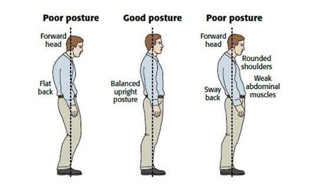 The Ultimate Exercises To Improve Posture Simple And Effective Lifehack