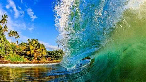 Tropical Waves Screensavers And Wallpaper Images