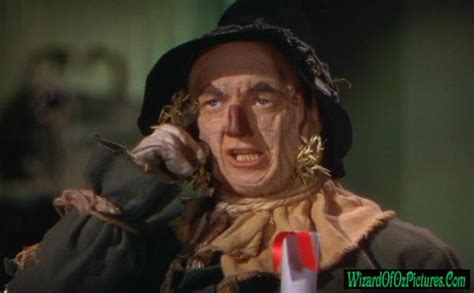 Scarecrow Wizard Of Oz Pictures