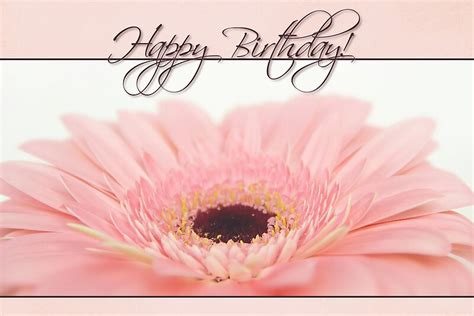 Happy Birthday Card Pink Gerbera Daisy By Tracy Friesen Redbubble