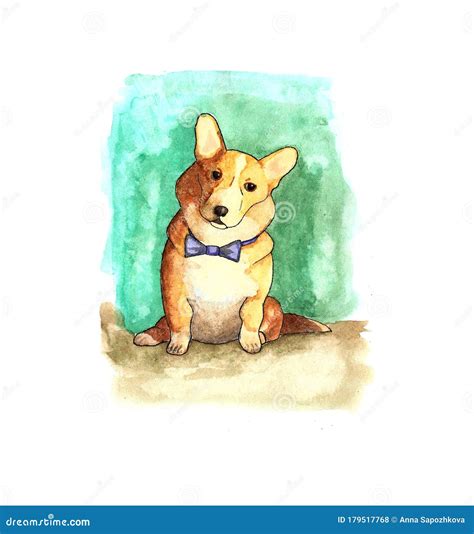 Corgi Is Waiting For His Master Technique Watercolor Stock
