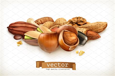 Nuts Vector Illustration Photoshop Graphics Creative Market